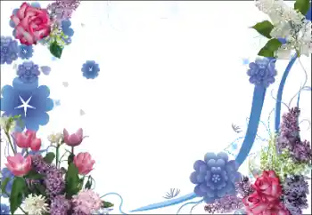 범주에서의 사진 효과 여성 프레임 № 51974