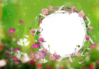 범주에서의 사진 효과 여성 프레임 № 52077