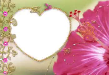 범주에서의 사진 효과 여성 프레임 № 52086