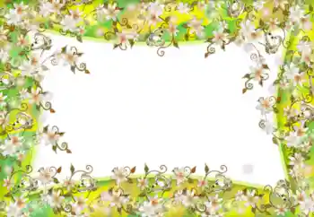 범주에서의 사진 효과 여성 프레임 № 52181