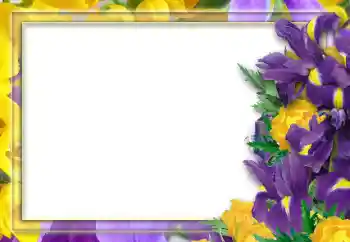 범주에서의 사진 효과 여성 프레임 № 52253