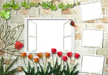 범주에서의 사진 효과 여성 프레임 № 53297