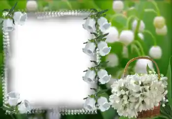 범주에서의 사진 효과 여성 프레임 № 53368