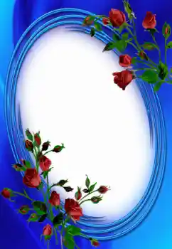 범주에서의 사진 효과 여성 프레임 № 53373