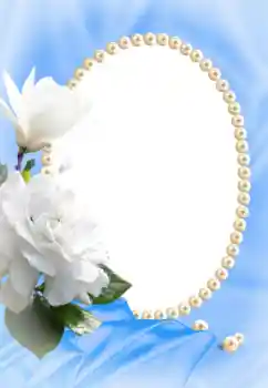 범주에서의 사진 효과 여성 프레임 № 53374