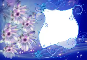 범주에서의 사진 효과 여성 프레임 № 53375