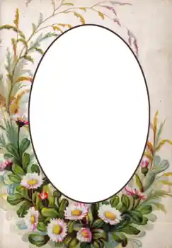 범주에서의 사진 효과 여성 프레임 № 5353