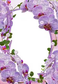 범주에서의 사진 효과 여성 프레임 № 5465