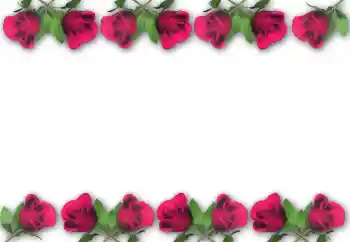 범주에서의 사진 효과 여성 프레임 № 5472