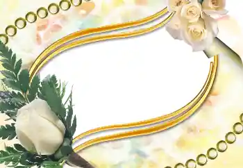 범주에서의 사진 효과 여성 프레임 № 5504