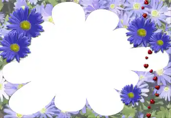 범주에서의 사진 효과 여성 프레임 № 5507