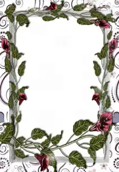 범주에서의 사진 효과 여성 프레임 № 5508