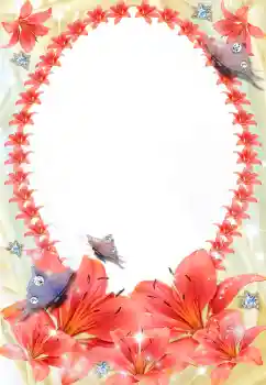 범주에서의 사진 효과 여성 프레임 № 5539