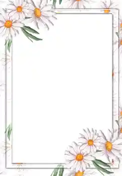 범주에서의 사진 효과 여성 프레임 № 55441