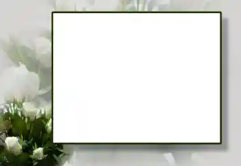 범주에서의 사진 효과 여성 프레임 № 55444