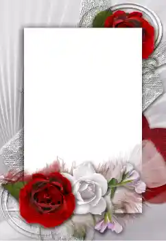 범주에서의 사진 효과 여성 프레임 № 55454