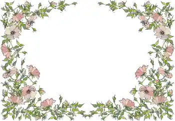 범주에서의 사진 효과 여성 프레임 № 55495