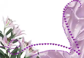 범주에서의 사진 효과 여성 프레임 № 55526