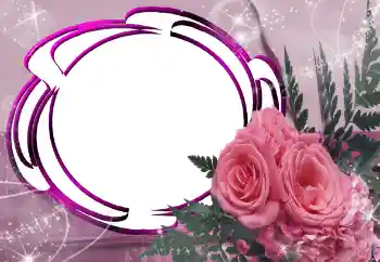 범주에서의 사진 효과 여성 프레임 № 55527