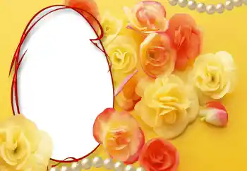 범주에서의 사진 효과 여성 프레임 № 55528