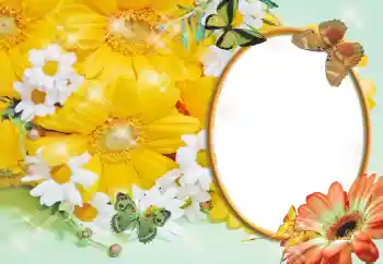 범주에서의 사진 효과 여성 프레임 № 55529