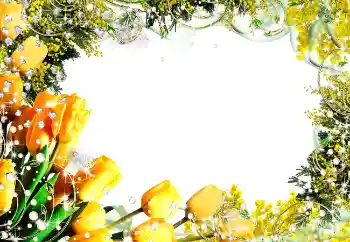 범주에서의 사진 효과 여성 프레임 № 5582