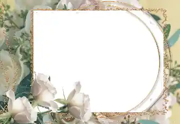 범주에서의 사진 효과 여성 프레임 № 5595