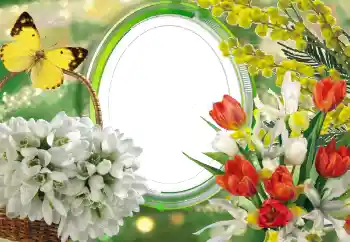 범주에서의 사진 효과 여성 프레임 № 56529