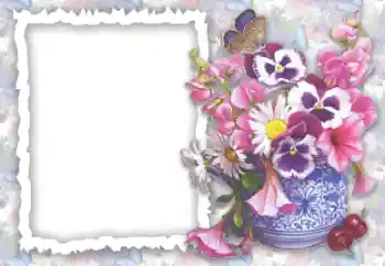 범주에서의 사진 효과 여성 프레임 № 56547