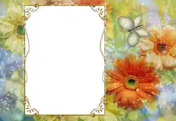 범주에서의 사진 효과 여성 프레임 № 56557