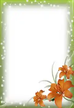 범주에서의 사진 효과 여성 프레임 № 56605