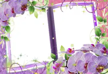 범주에서의 사진 효과 여성 프레임 № 58759