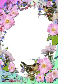 범주에서의 사진 효과 여성 프레임 № 58779