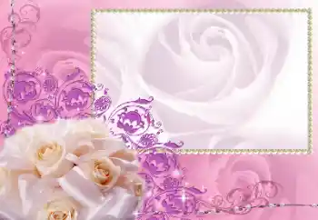 범주에서의 사진 효과 여성 프레임 № 59114