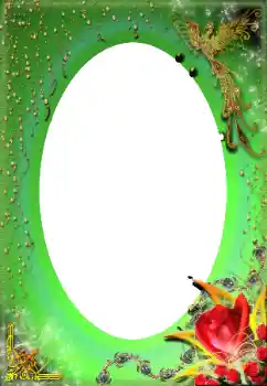 범주에서의 사진 효과 여성 프레임 № 59125