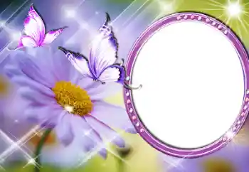 범주에서의 사진 효과 여성 프레임 № 60196