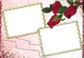 범주에서의 사진 효과 여성 프레임 № 60260