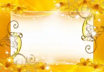 범주에서의 사진 효과 여성 프레임 № 60394