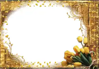 범주에서의 사진 효과 여성 프레임 № 60398