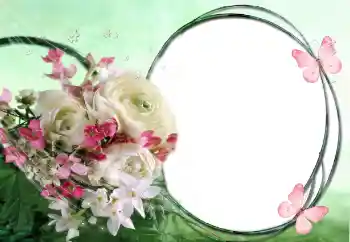 범주에서의 사진 효과 여성 프레임 № 60415