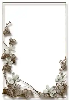 범주에서의 사진 효과 여성 프레임 № 60422