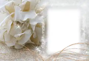 범주에서의 사진 효과 여성 프레임 № 60472