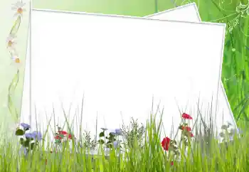 범주에서의 사진 효과 여성 프레임 № 62627