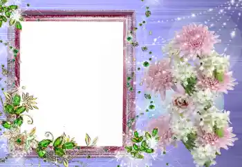 범주에서의 사진 효과 여성 프레임 № 62907