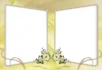 범주에서의 사진 효과 여성 프레임 № 62926