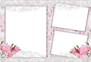 범주에서의 사진 효과 여성 프레임 № 64044