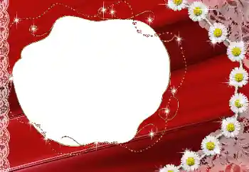 범주에서의 사진 효과 여성 프레임 № 64048