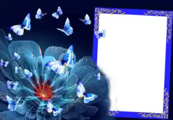 범주에서의 사진 효과 여성 프레임 № 64206