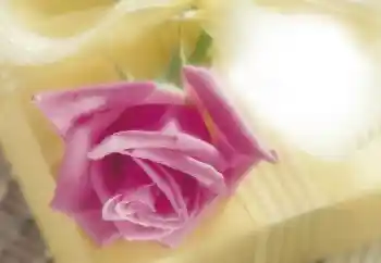 범주에서의 사진 효과 여성 프레임 № 64263