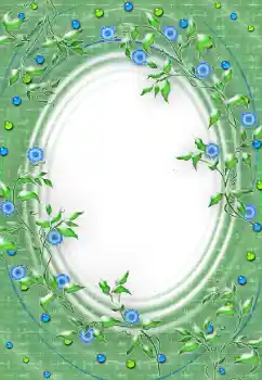 범주에서의 사진 효과 여성 프레임 № 64288